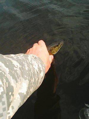 5741ed91bb249_22.05.2016010.thumb.jpg.37