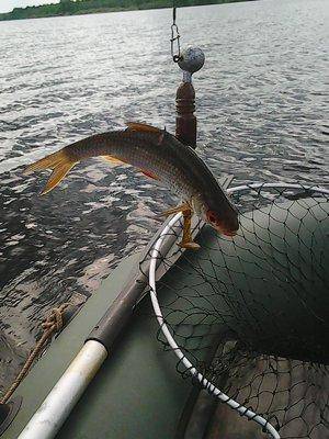 5741edf9abfc8_22.05.2016012.thumb.jpg.9c