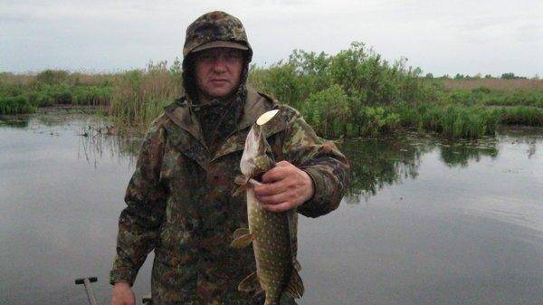 57474002d5ead_IMG_68451.thumb.jpg.6b54e7