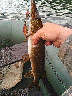 574743db8e780_26044.thumb.jpg.6b4535a3ee