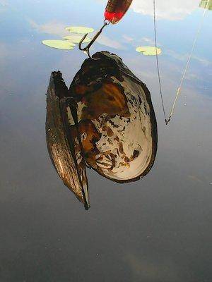 574744e3879f5_26053.thumb.jpg.d0c52474a9