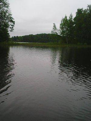 5749d2074ebae_28.05.2016001.thumb.jpg.7b