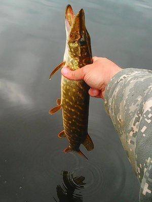 5749d2722cb87_28.05.2016012.thumb.jpg.5d