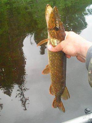 5749d2a56bd46_28.05.2016014.thumb.jpg.8a