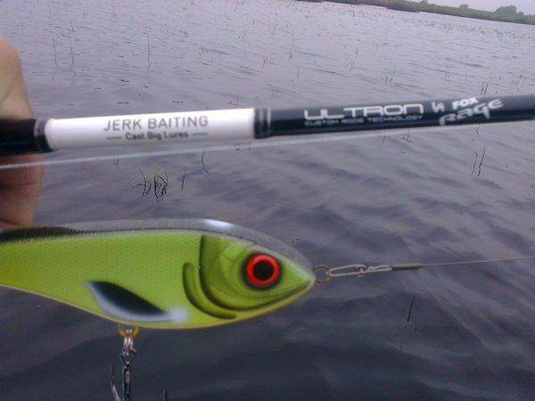 5749f55e21428_3423.thumb.jpg.d712d558ad4