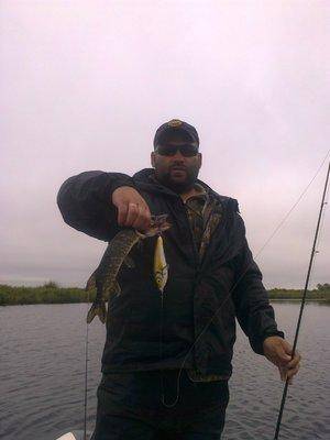 5749f5d005e6f_3426.thumb.jpg.073aa2404e0