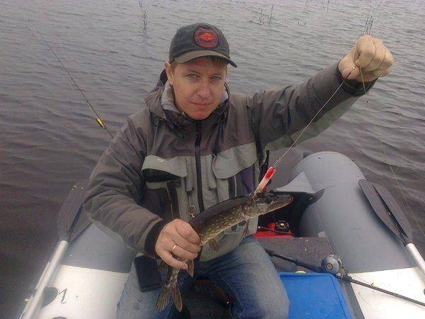 5749f60fcccd2_3429.thumb.jpg.6b257f572e8