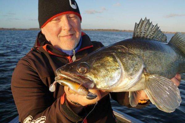 7182536.thumb.jpg.b24d17f239295129320504