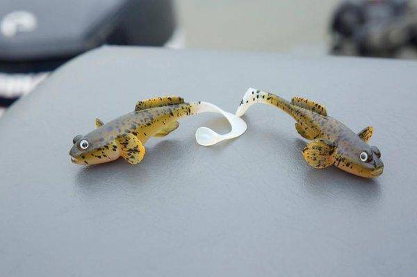 7183560.thumb.jpg.b9dba81d03dc8db606ef24