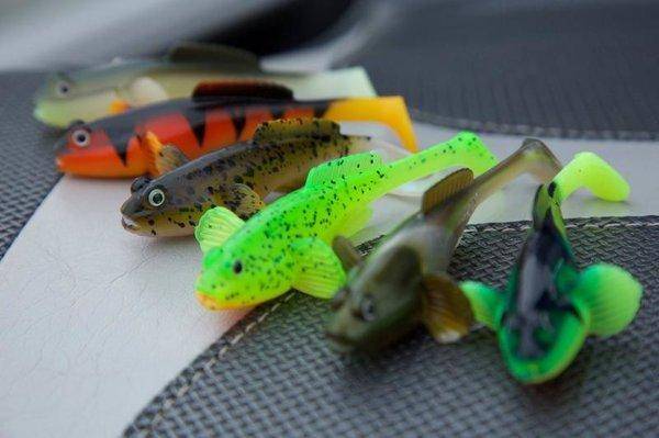 7190728.thumb.jpg.e0edefee134865267a9392