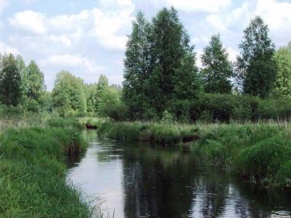 DSC01213.thumb.JPG.e14f1cfd6051508edbb37