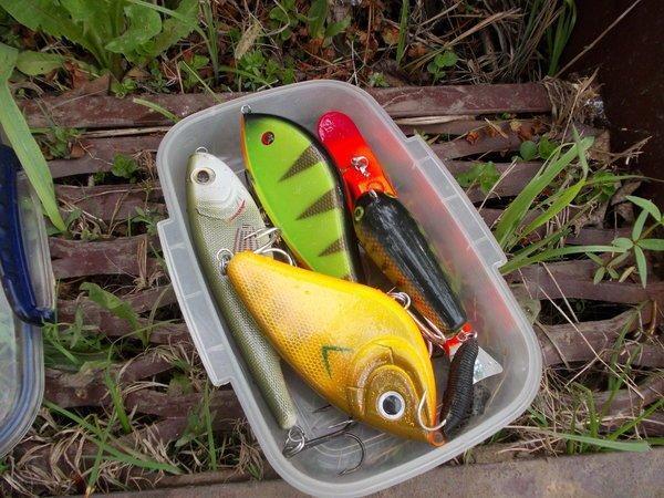 DSCN4519.thumb.JPG.bb65e745cfd91dc8bd827