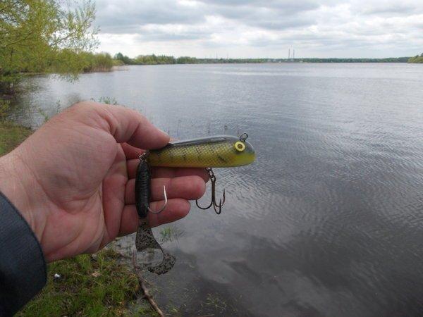 DSCN4521.thumb.JPG.7c7e03383493f535c6dd0