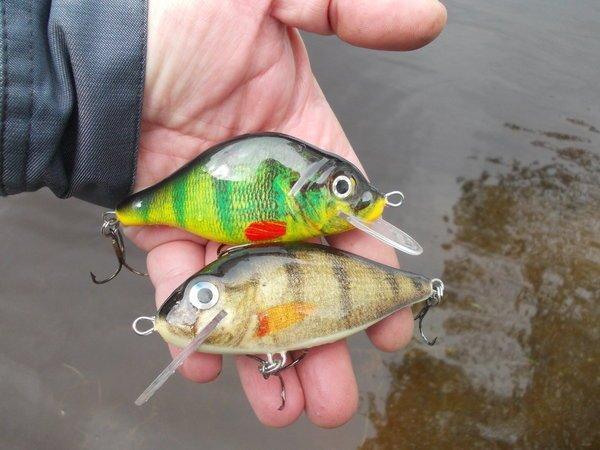 DSCN4523.thumb.JPG.74644404d95d903ff4ed7