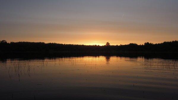 DSCN7125.thumb.JPG.308553eae9001753171ed