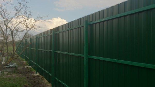 DSC_1250.thumb.JPG.9f57cc310081a37d8563e