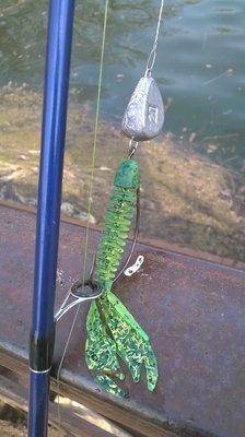 H3jpgYImfME.thumb.jpg.d00a38ec48061e4c2a