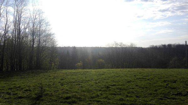 IMG_20160503_071111.thumb.jpg.c29ec3ba96