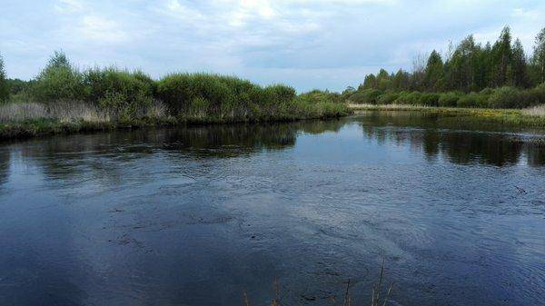 IMG_20160510_185546.thumb.jpg.15f303fecc