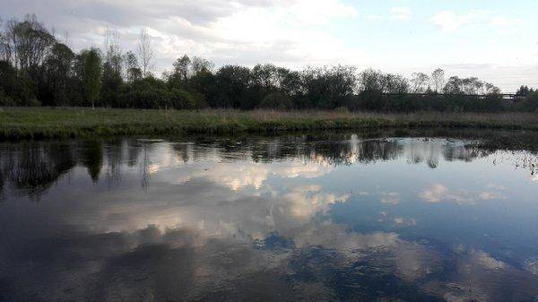 IMG_20160510_193806.thumb.jpg.e28cd76c50