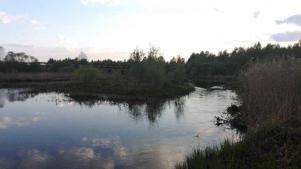 IMG_20160510_193810.thumb.jpg.5d85dc91c6