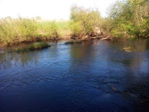 IMG_20160514_170050.thumb.jpg.3f235591d3