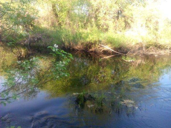 IMG_20160514_170055.thumb.jpg.2bf03903c6