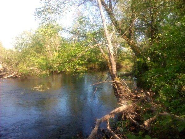 IMG_20160514_170101.thumb.jpg.c7c97c1921