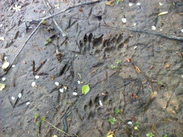 IMG_20160514_170508.thumb.jpg.96cb1abeb7