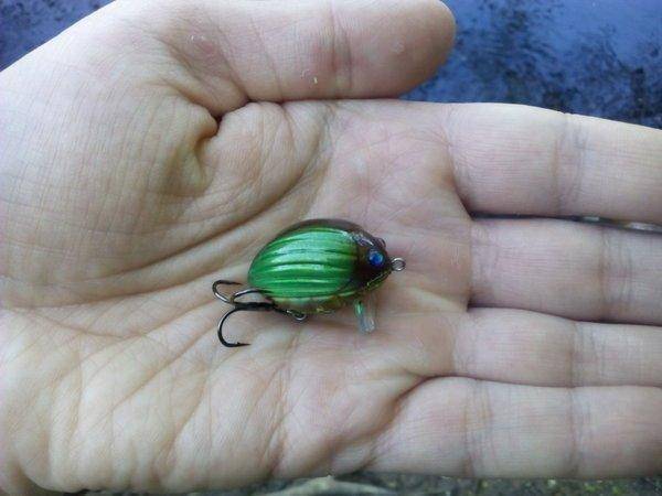 IMG_20160514_170613.thumb.jpg.c3f66d0d53