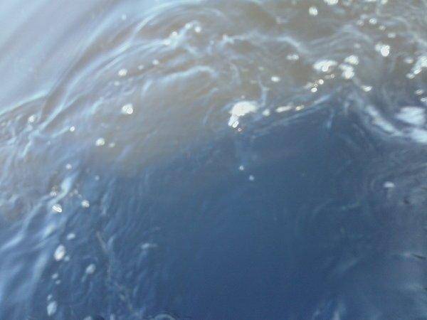 IMG_20160515_073953.thumb.jpg.b23c8034be