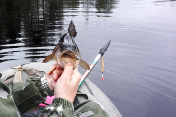 IMG_20160528_081942.thumb.png.b800e9481d