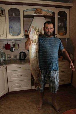 IMG_5024.thumb.JPG.53a2903ec7a4cc6eb48bd