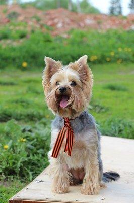 IMG_6392.thumb.JPG.1eba3fa3ef1ebc636d78a