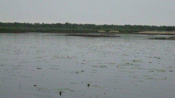 IMG_6841.thumb.jpg.4783bc5b3d44a12ee8341