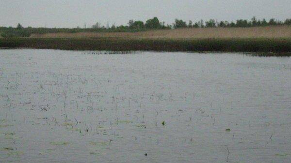 IMG_6842.thumb.jpg.75a80bddaffe2d95450f9