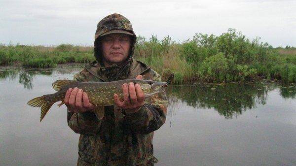 IMG_6846.thumb.jpg.8bb6c97fe41bce69f2631