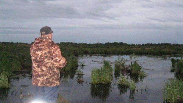 IMG_6847.thumb.jpg.d2aad7e9809de66e7703d