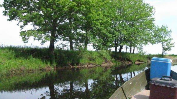 IMG_6878.thumb.jpg.3221e9a15a58b603c4c55