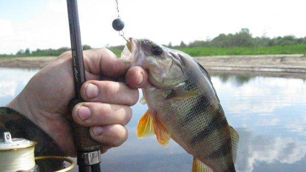 IMG_6879.thumb.jpg.63f7815fb4d18bef60348