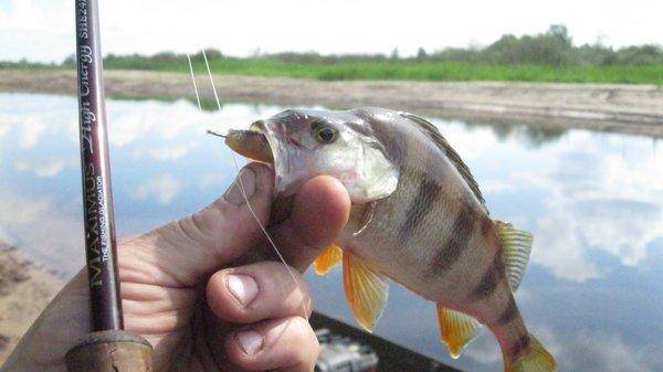 IMG_6881.thumb.jpg.d48b653b5a4e4f8fa8df3