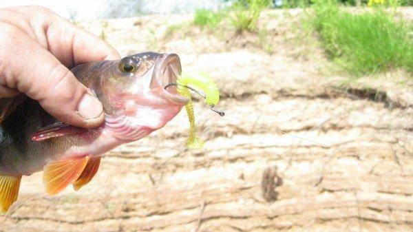 IMG_6882.thumb.jpg.2df650fc99ebe183ac35a