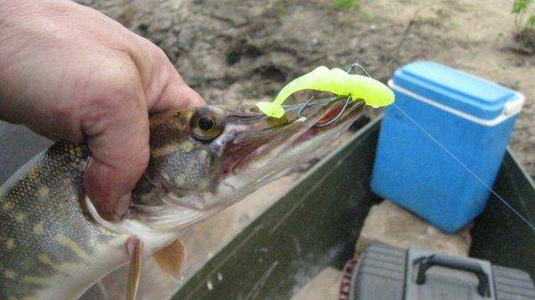 IMG_6883.thumb.jpg.80f76b2a1fb2dcce19c66