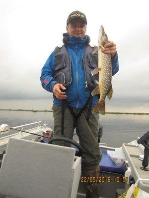 IMG_8944.thumb.JPG.e63e77ea7b8ab92577ff9