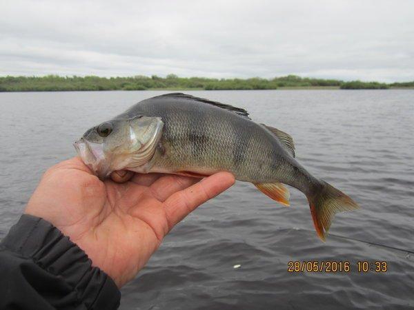 IMG_9224.thumb.JPG.682a60f5c5d8a88b1ba62