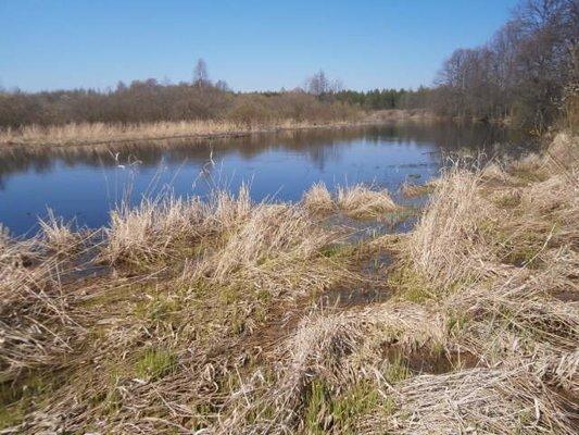 P4190688.thumb.JPG.83788845c643b9a1f0f26