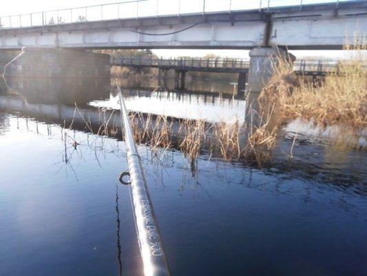 P4190690.thumb.JPG.1293eda7b317f0951f919