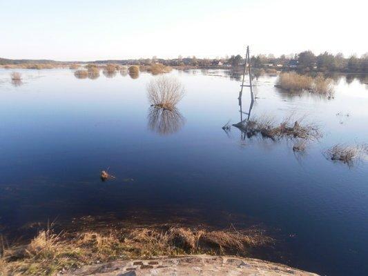 P4190692.thumb.JPG.5d61beeed622169903d70