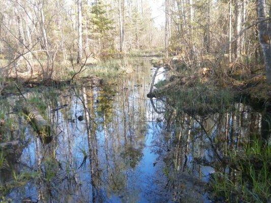 P4240709.thumb.JPG.19ac969699fa431dc8360