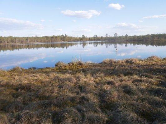 P4240710.thumb.JPG.a5634376a8ed11b7a1e43